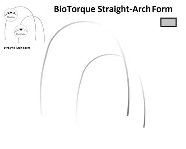 BioTorque Bögen Straight-Arch Form 10 Stück à PAK (203-2048)