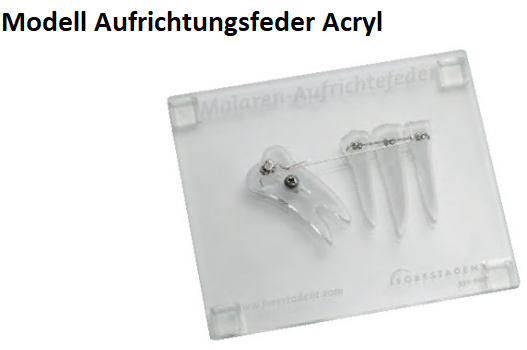 Modell Aufrichtefeder Acryl 1 Stück (950-0107)