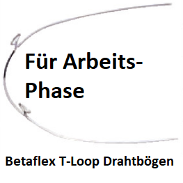 Betaflex Titan 2-fach Loop 10 Stück á PAK 019"x 025" (256-2648)